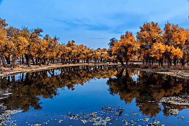 《胶佬模拟器》联动《巫师》《赛博朋克2077》DLC发售 定价22元